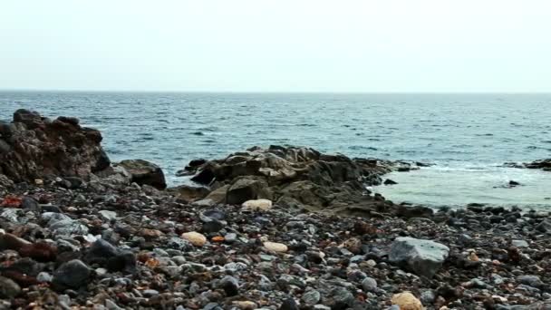 Wild stone and rock shore or coast of ocean or sea — Stock Video