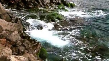 Dalgalar okyanus veya deniz yakın bir yerde vahşi kaya