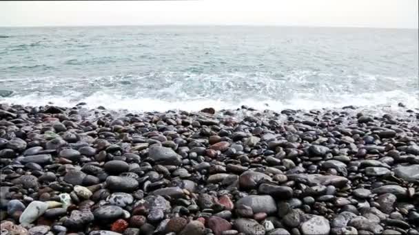 Stones with waves on beach of shore or coast of ocean or sea — Stock Video
