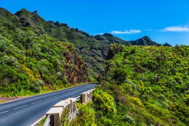 Asfalt yol yeşil dağlarda