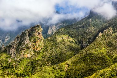 Yeşil dağ ve kayalar