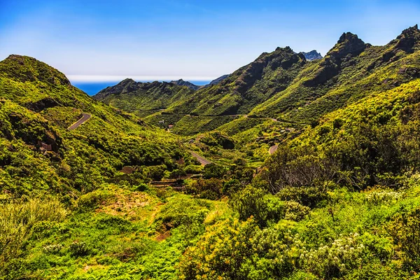 Vale das montanhas verdes com estrada sinuosa — Fotografia de Stock