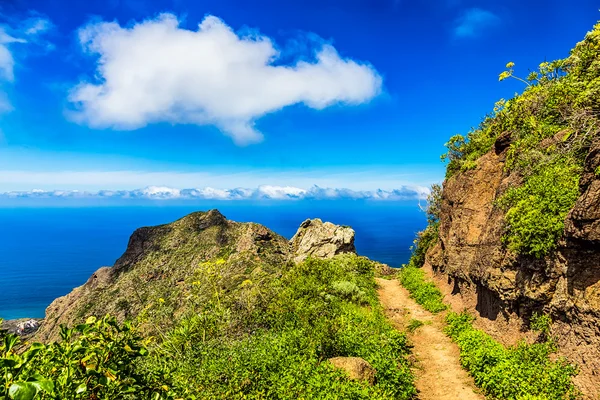 Sentiero o sentiero in verde mountai — Foto Stock