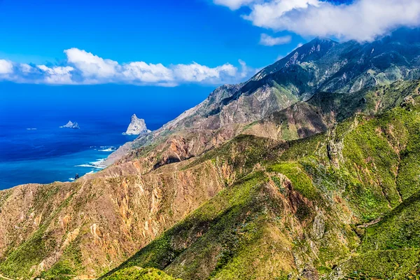 Costa del océano con roca — Foto de Stock