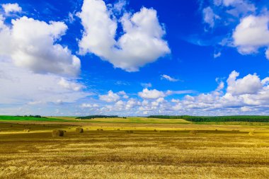Anız sahada saman balya yuvarlak sarı