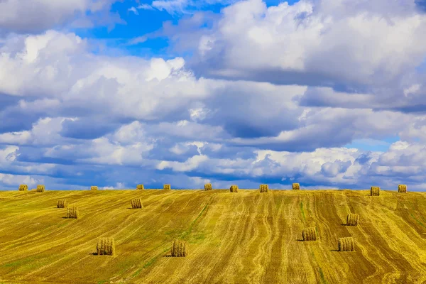 Balas de paja redondas amarillas en el campo de grava — Foto de Stock