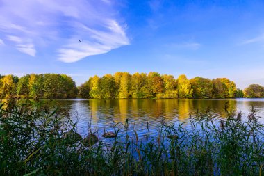 Doğa Göl ve renkli Ağaçlar Sonbahar sezonu ile