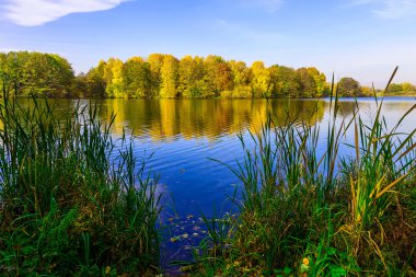 Doğa Göl ve renkli Ağaçlar Sonbahar zaman ile