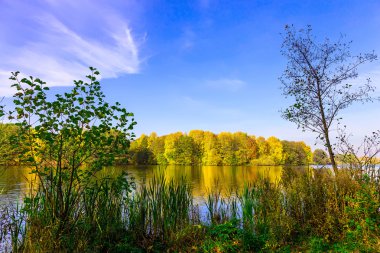 Nehir ve sonbaharda çok renkli ağaçlar, yatay