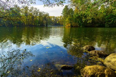 Çevre göl sonbahar manzara ağaçlar