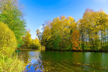Sonbaharda Gölü kıyısındaki üzerinde renkli ağaçlar