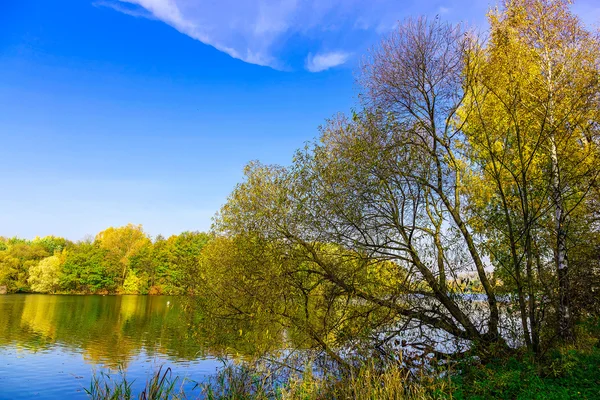 Paisaje otoñal con fondo Árboles multicolores y sujetador de árbol — Foto de Stock