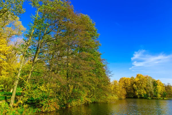 Árboles de colores junto al lago en otoño — Foto de Stock