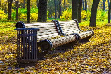 Sonbaharda park bankında