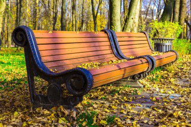 Sonbahar parkında tezgah.