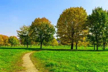 Yol ve çim ağaçlarda Sonbahar Park