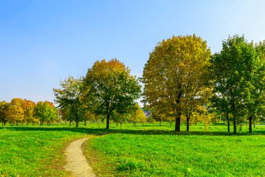 Patika ve alan ağaçlarda sonbahar doğa