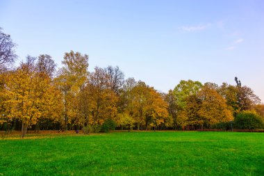 Sonbahar manzara görünümü