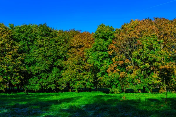 Outono paisagem com árvores coloridas — Fotografia de Stock