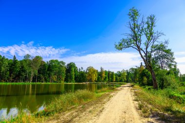 Araç yolunun geçen yakın göl ile manzara