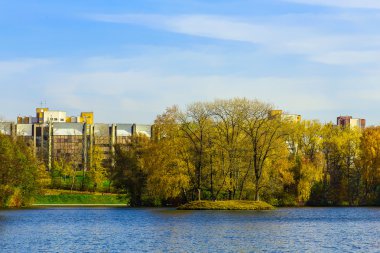 Ofis binaları ve ağaçları ile City Scape