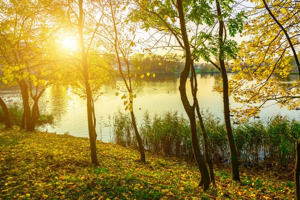 Naturaleza otoñal con árboles coloridos y lago — Foto de Stock
