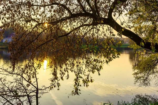 Ramas del árbol de otoño que cuelgan sobre el río — Foto de Stock
