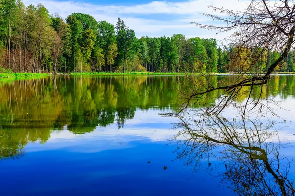Naturaleza otoñal con árboles coloridos cerca del lago — Foto de Stock