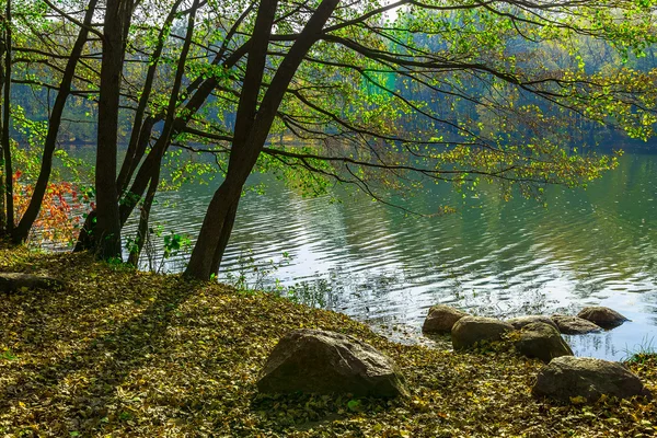 Parque Outono com Árvores perto do Lago — Fotografia de Stock