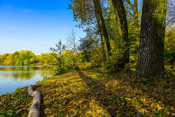 Parque con árboles junto al lago en otoño — Foto de Stock