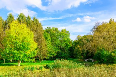 Renkli ağaçlar ve gölet üzerinde köprü manzara