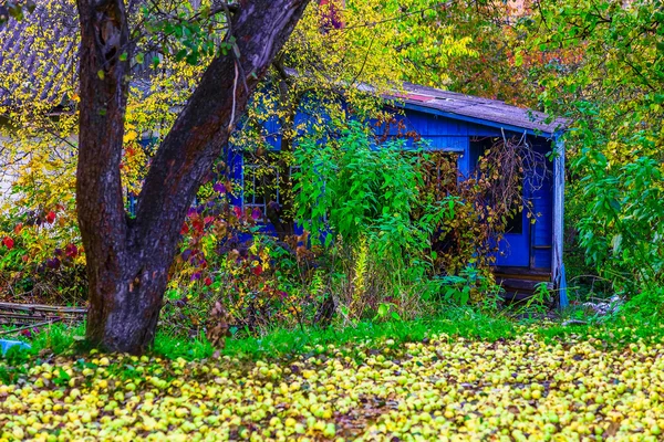 Casa di campagna in cespugli colorati in autunno — Foto Stock