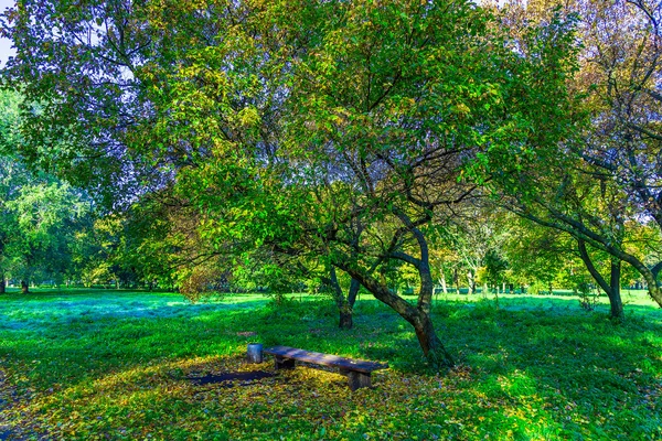 Landscape of Park With Bench under Trees — Stock Photo, Image