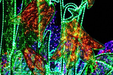 Wilanow Sarayı video haritalama