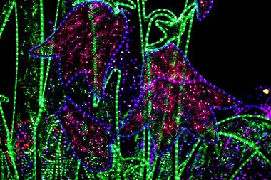 Wilanow Sarayı video haritalama