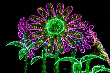 Wilanow Sarayı video haritalama