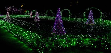 Aydınlatma köknar-ağaçlar ve çalılar