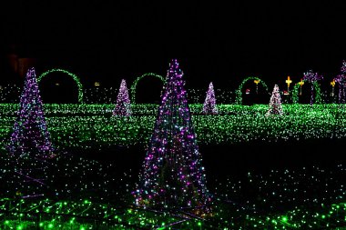 Çam ağaçları ve Noel lambalar yanar ot
