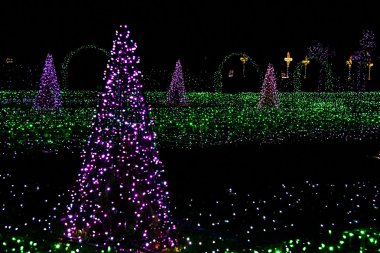 Çam ağaçları ve Noel Işık Ampüller çim