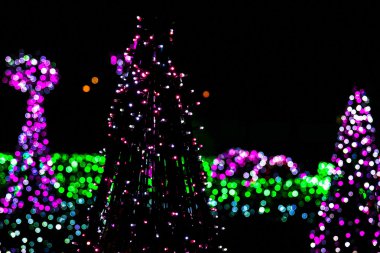 Aydınlatılmış Noel ağacı