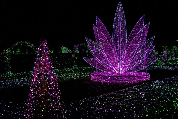 Jardín de luz con siluetas de Navidad — Foto de Stock