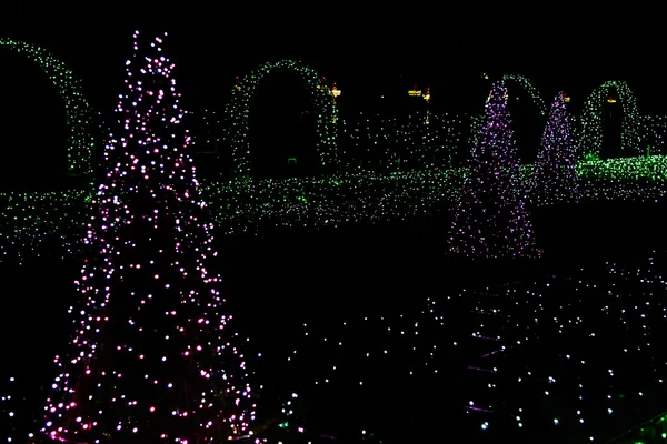 Lampes de Noël sur sapins et buissons — Photo