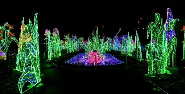 Parque o Jardín de Navidad Iluminado — Foto de Stock