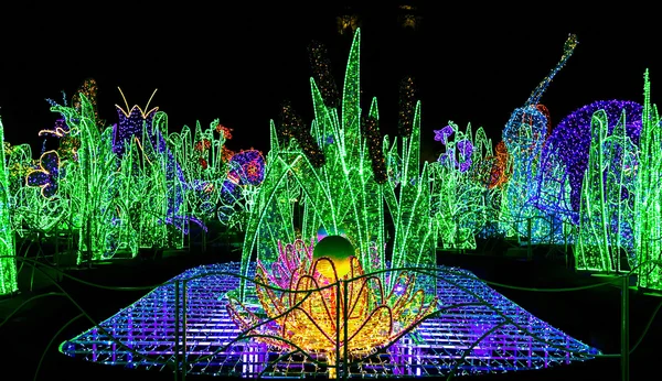 Parque ou Jardim de Natal Iluminado — Fotografia de Stock