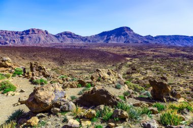 İspanya Tenerife adasında dağlar