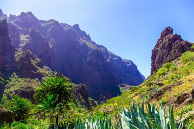 İspanya Tenerife adasında dağlar