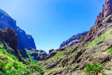 İspanya Tenerife adasında dağlar