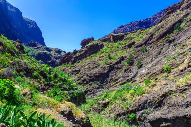 İspanya Tenerife adasında dağlar