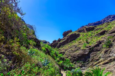 İspanya Tenerife adasında dağlar