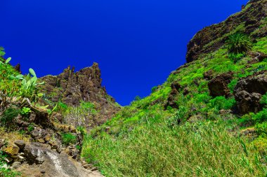 İspanya Tenerife adasında dağlar